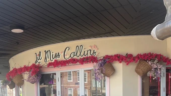 Lil Miss Collins Crows Nest gallery 3