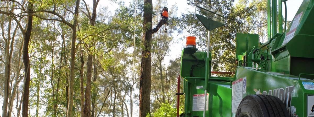 Cutting Edge Tree Maintenance