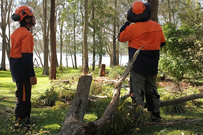 Cutting Edge Tree Maintenance