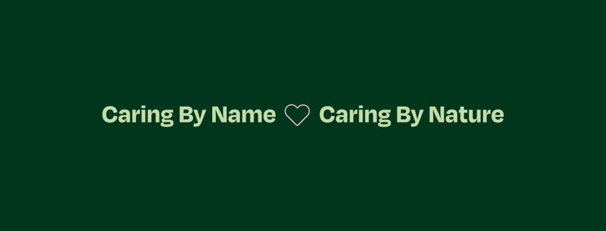 Caring Supports For You