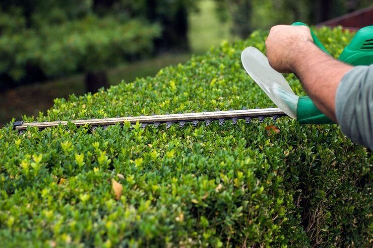 Genie Mowing