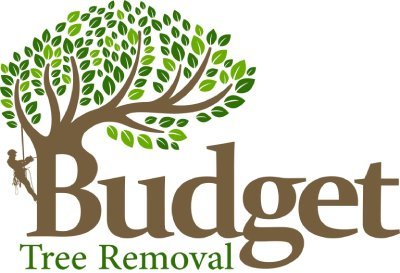 Budget Tree Removal