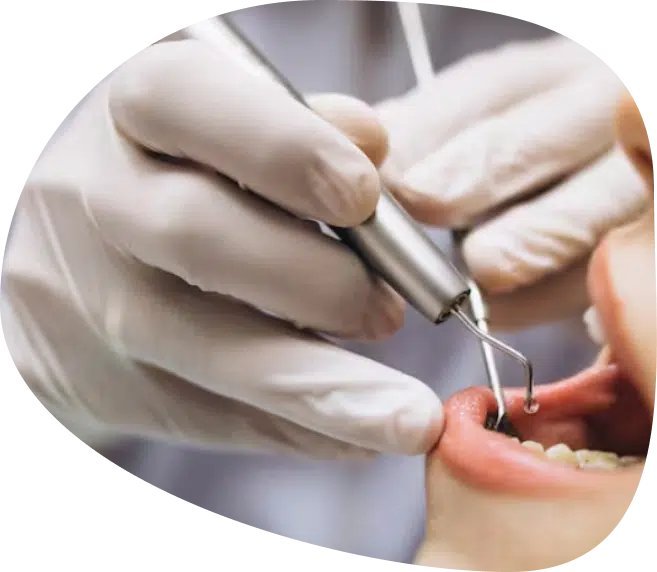 Newcomb Dentist